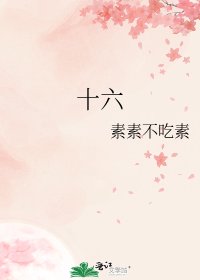 十六