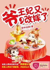 爷，王妃又改嫁了
