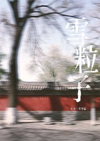 雪粒子